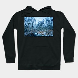 January Snow Day Hoodie